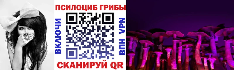 Купить  Торопец  Галлюциногенные грибы прущие грибы 